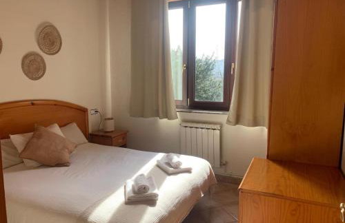 Escuelas de collía B AT-1537-AS - Photo 18