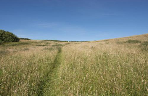 Salty Cottage - Foto 25