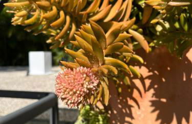 HiddenGem in Charming Sarasota, Florida - Foto 18