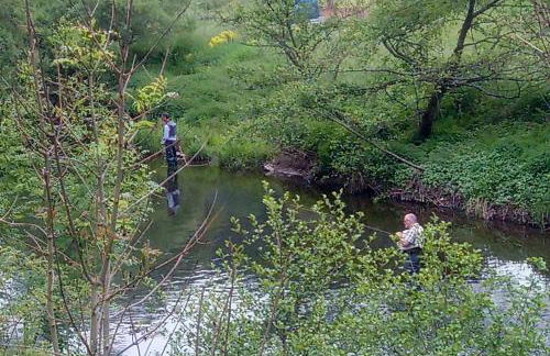 die rote Ente - Foto 20