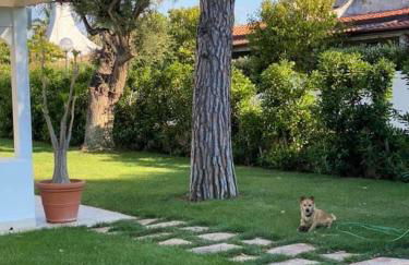 Gli Ulivi Rosamarina Ostuni - Foto 8