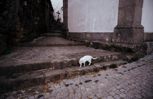 Casa da Ferreira_Vila Real - Foto 38