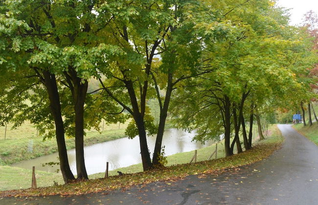 Apartment in Bruchhausen Right on the Fishing River - Foto 47