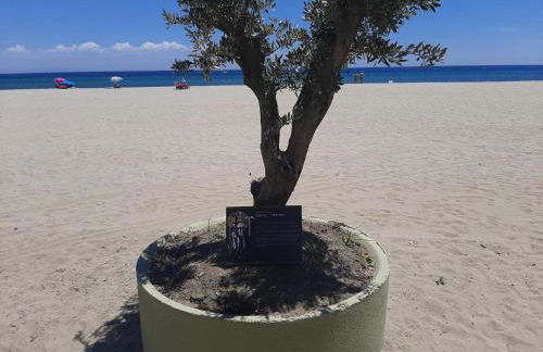 APARTMENTS HARIS - Foto 52