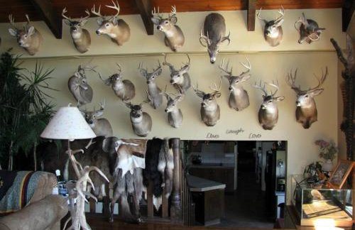 Whitebird Summit Lodge - Foto 24