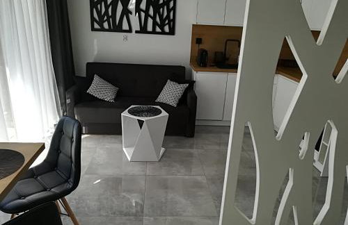 Apartament Wrocław Centrum Dorzecze Legnickiej - Photo 18