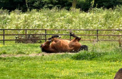 Ferienwohnung, Schlafzimmer 2 - Foto 32