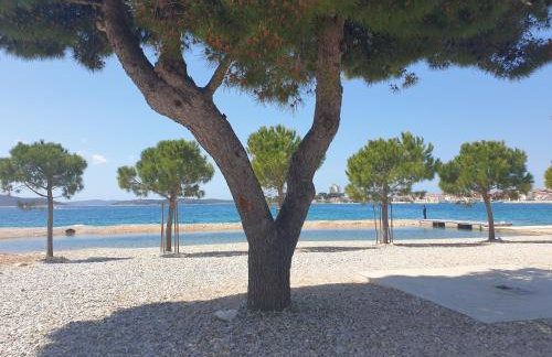 Assato Apartments - Photo 68