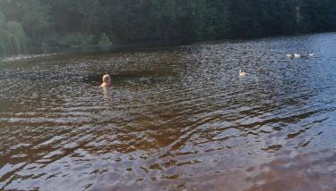 Woofles Luxury Caravan at Knaresborough Lido - Foto 3