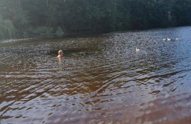 Woofles Luxury Caravan at Knaresborough Lido - Foto 3