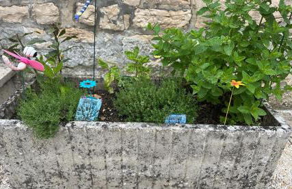 La maison papillon - Foto 9