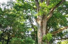 Jeziorosfera. Stodoła przy wodzie. - Foto 33