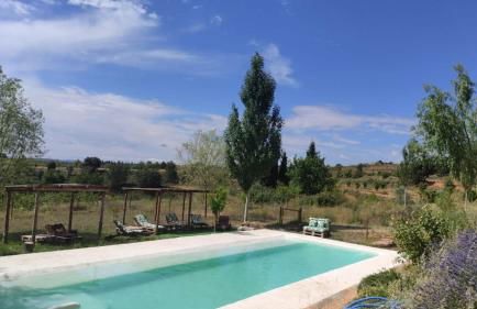 Mas de Leon - Foto 11