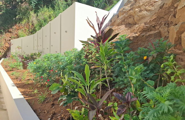 Tropical Secrets Holiday Apartments - Foto 25