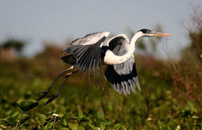 Tour in Montevideo - Foto 7