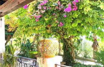 Donna Caterina House -Sicily-Hot tub, private parking, WI-FI - Foto 48