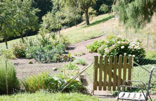 Börsighof, 54qm - Foto 18