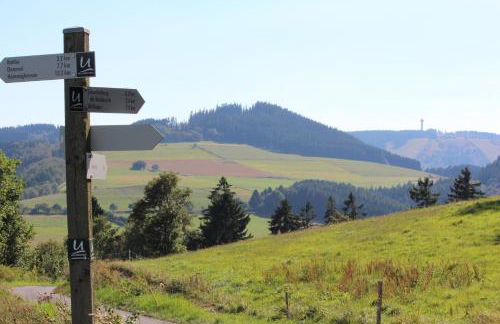 Ferienwohnung Emde - Foto 44