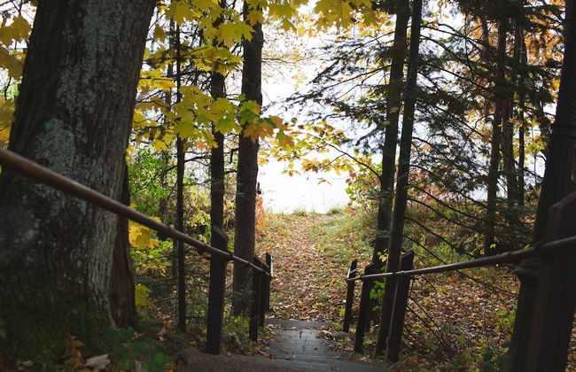 Mission Springs Resort - Photo 72