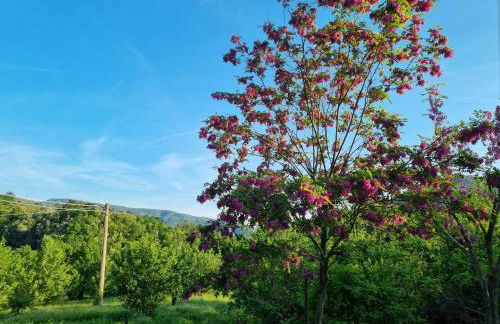 Podere Vecci - Foto 37