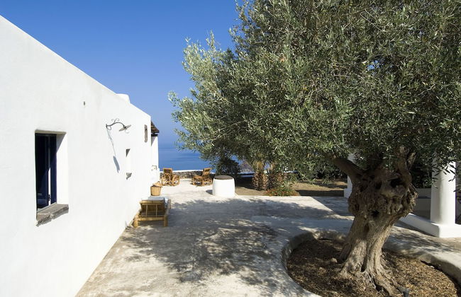 L'ulivo di Pollara - Foto 14