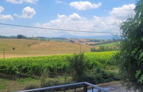 Villa vista vigneto - Foto 11