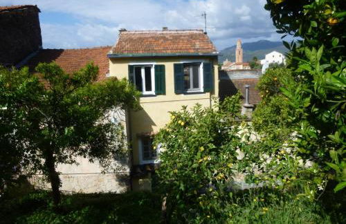 Ligurisches Rustico, umgeben von Olivenhainen am Dorfrand - Foto 1