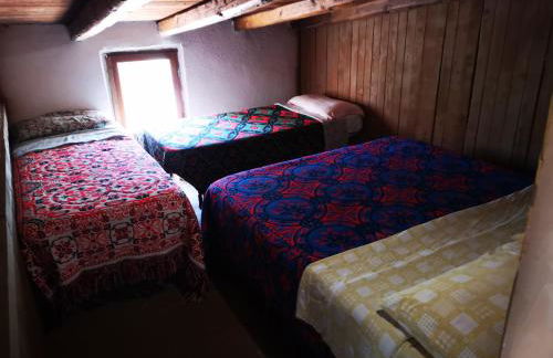 Pinnettu sardo casa di campagna in ecosistema insetti e animaletti simpatici in condivisione,Leggere attentamente Prima di prenotare - Foto 52