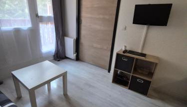 Résidence les Mélèzets 2 au pieds des pistes et des commerces - Photo 5