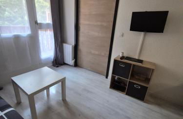 Résidence les Mélèzets 2 au pieds des pistes et des commerces - Photo 5