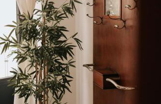 Casa da Catedral Jerónimo - Foto 6