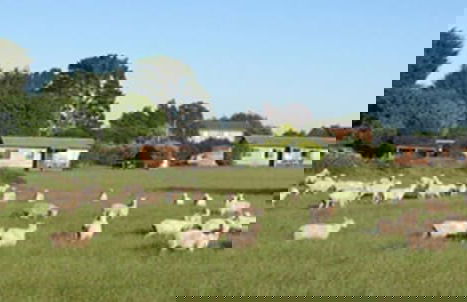 AAA Granary Accommodation - Foto 38