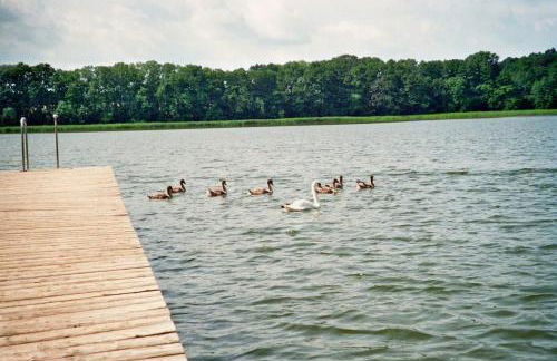 Ferienwohnung Siebmann - Foto 31