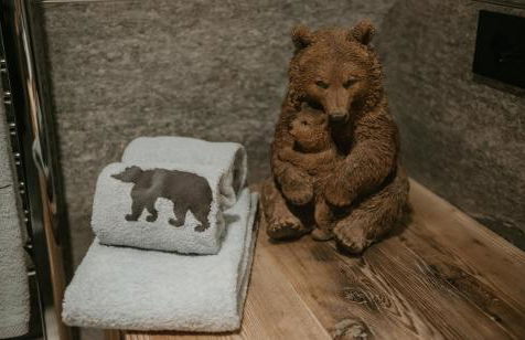 La Tana dell'Orso Bormio - Nature and Welness - Foto 69