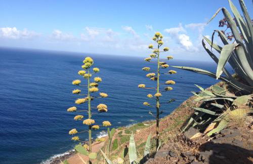 Blooming Botanic Houses - Foto 35