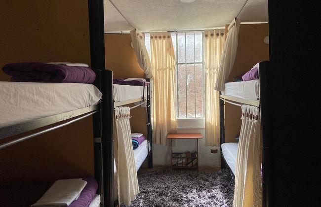 Backpackers La Terraza - Foto 8