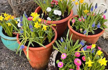 Sparrows Nest Holiday Cottage - Foto 18