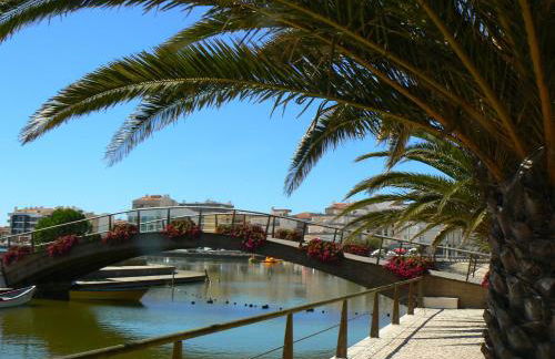 Bico das flores - Foto 75