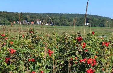 Pilars Fischwerk - Foto 28