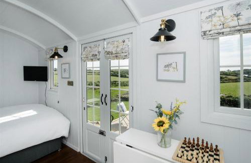 Shepherds Hut at Chenhall Farm - Photo 20