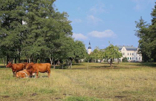 Suite im Limonadenhaus - adults only - Foto 19