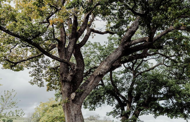 Qui Voglio - Photo 42