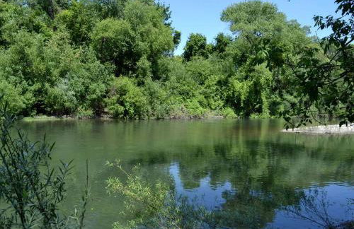 Beautiful Cottage Rental with Private River Beach on the Russian River, California - Foto 19