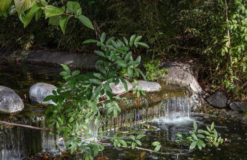 Apartamento Costalita - Foto 10