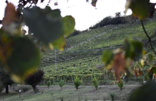 Agriturismo Cascina L'Arché - Photo 29