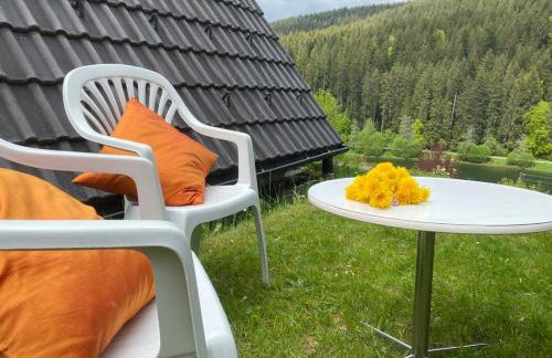 Haus Adler - Komplettes Ferienhaus am Badesee - Foto 18