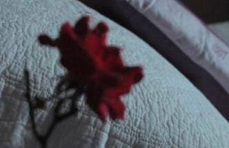 Apartamentos Rurales Romallande - Foto 16