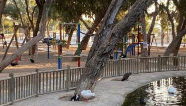 Sunny villa - Foto 5