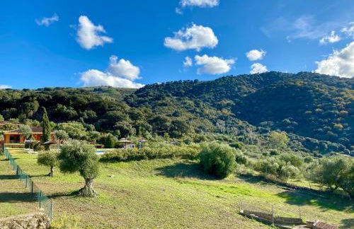 Apartamentos Cedro Alto - Photo 25