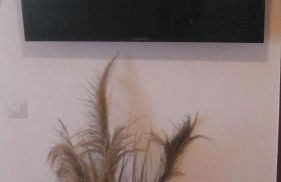 Donna Pulina Holidays - Foto 23